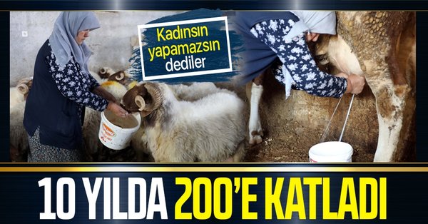 Gaziantep’te ‘kadınsın yapamazsın’ diyenlere inat 10 yılda hayvan sayısını 200’e katladı