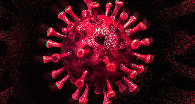 Türkiye’de son 24 saatte 8.962 koronavirüs vakası tespit edildi