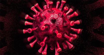Türkiye’de son 24 saatte 7.763 koronavirüs vakası tespit edildi
