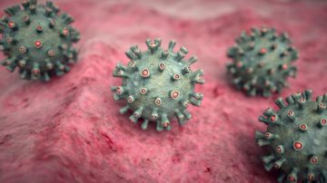 Dünya Sağlık Örgütü alarma geçti: Yeni Marburg virüsü iki kişinin ölümüne neden oldu